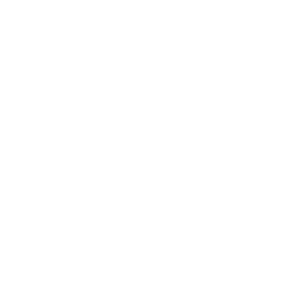 Silicones & Adhesives